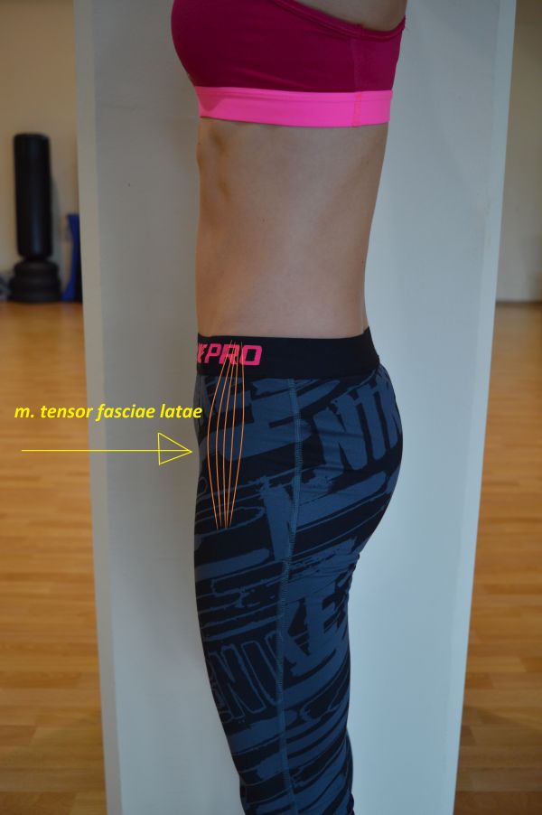 Tensor Fascie